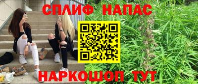 прущие грибы Брянск