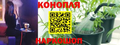 прущие грибы Брянск