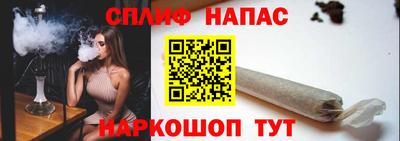 стаф Боровичи