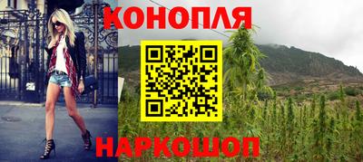 прущие грибы Брянск