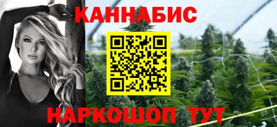 прущие грибы Брянск