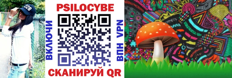 kraken ССЫЛКА  Благодарный  Псилоцибиновые грибы мухоморы 
