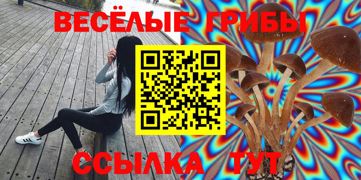 Псилоцибиновые грибы прущие грибы  Вход с VPN  Благодарный 