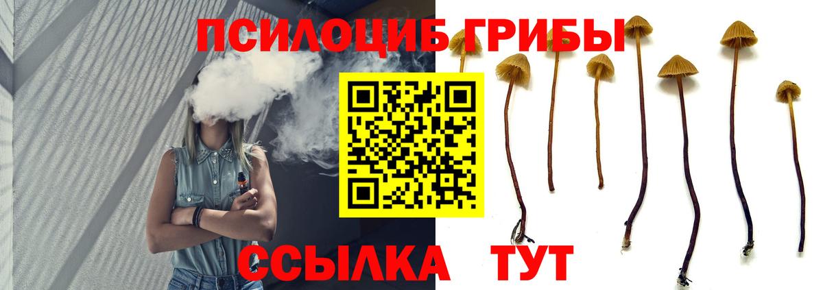 Галлюциногенные грибы прущие грибы Благодарный