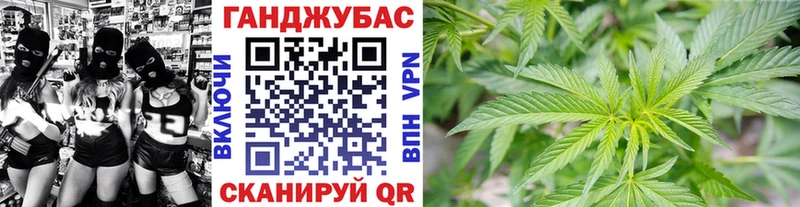 Конопля ГИДРОПОН Благодарный